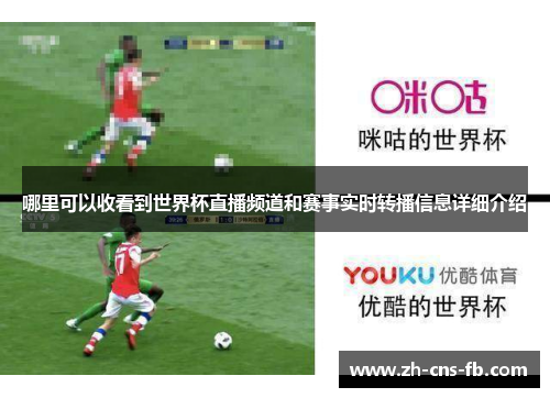 哪里可以收看到世界杯直播频道和赛事实时转播信息详细介绍